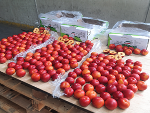 Norway Fruit Surveying Quality Control Services